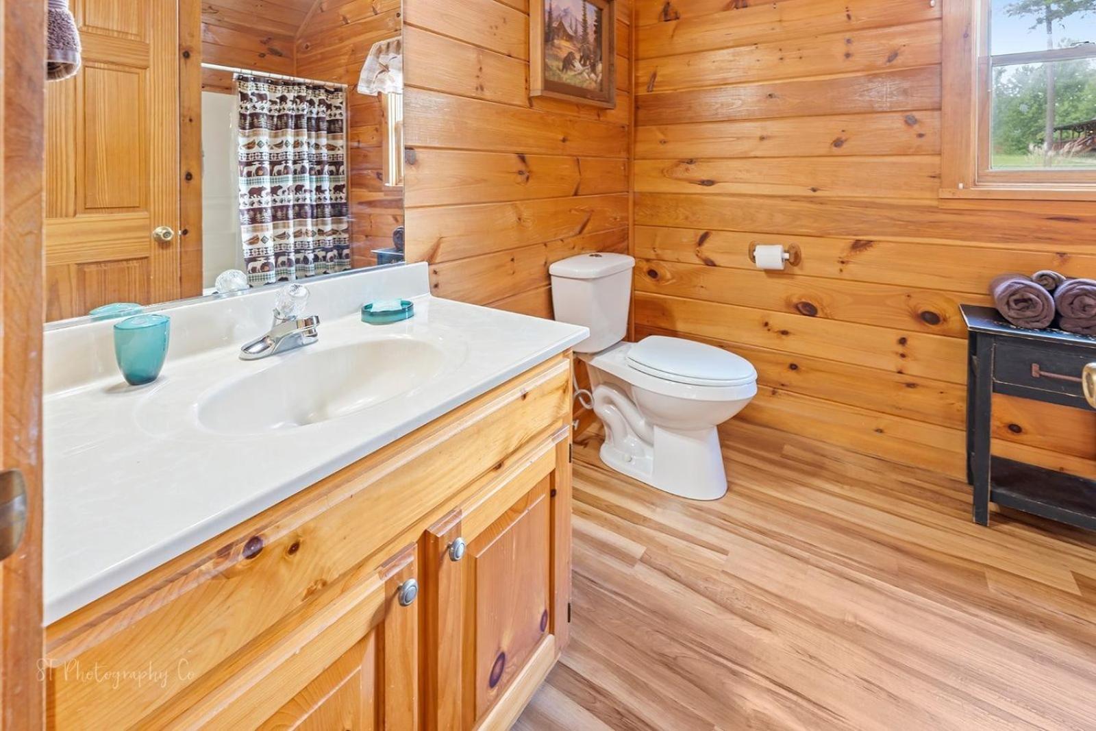 Hibernation Station Cabin Sevierville Buitenkant foto